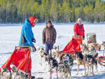 SMARTBOX - Coffret Cadeau 3 jours en Suède : observation des aurores boréales et balade en chiens de traîneau pour 2 personnes -  Séjour