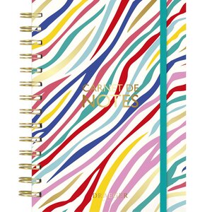 Carnet De Notes À Spirales A5 - 180 Pages - Rayures Zébrées Multicolores - Draeger paris