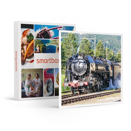 SMARTBOX - Coffret Cadeau Voyage en Suisse dans un train panoramique avec dîner en classe Pullman -  Multi-thèmes